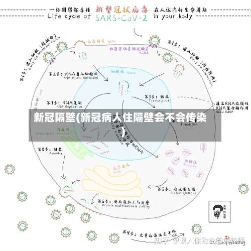 新冠隔壁(新冠病人住隔壁会不会传染)