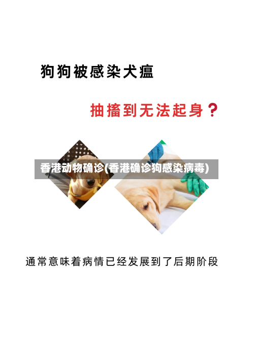 香港动物确诊(香港确诊狗感染病毒)-第3张图片