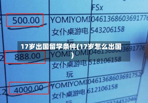 17岁出国留学条件(17岁怎么出国)