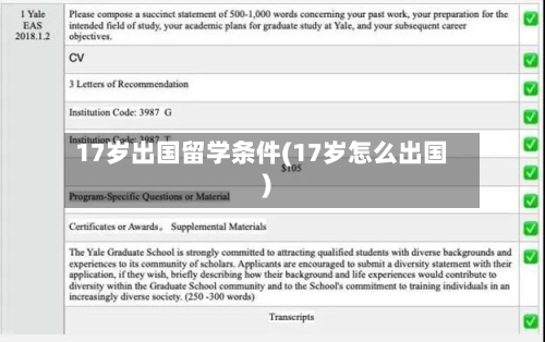 17岁出国留学条件(17岁怎么出国)-第3张图片