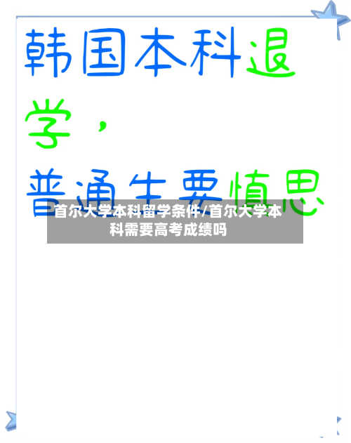 首尔大学本科留学条件/首尔大学本科需要高考成绩吗