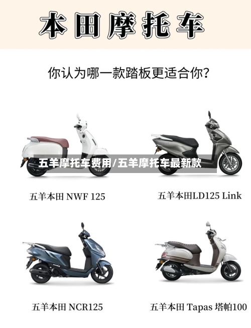 五羊摩托车费用/五羊摩托车最新款-第2张图片