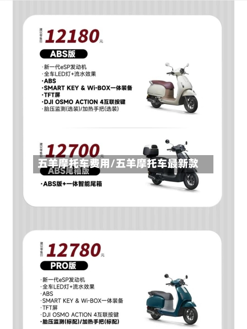 五羊摩托车费用/五羊摩托车最新款-第3张图片
