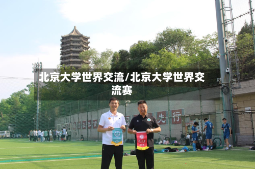 北京大学世界交流/北京大学世界交流赛