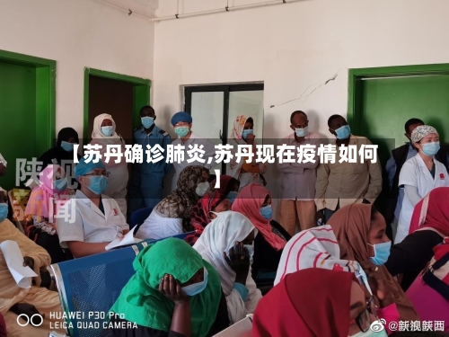 【苏丹确诊肺炎,苏丹现在疫情如何】-第2张图片
