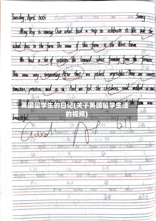 英国留学生的日记(关于英国留学生活的视频)