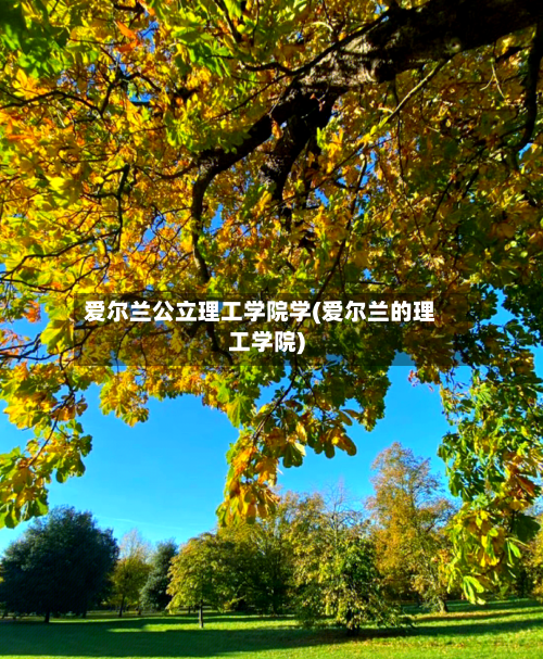 爱尔兰公立理工学院学(爱尔兰的理工学院)-第2张图片