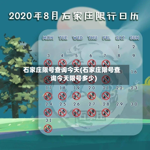 石家庄限号查询今天(石家庄限号查询今天限号多少)-第2张图片