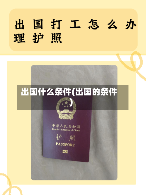 出国什么条件(出国的条件)-第2张图片