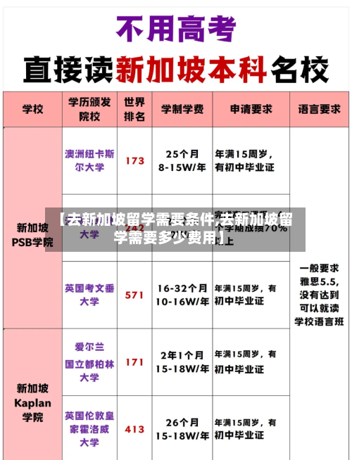 【去新加坡留学需要条件,去新加坡留学需要多少费用】-第2张图片