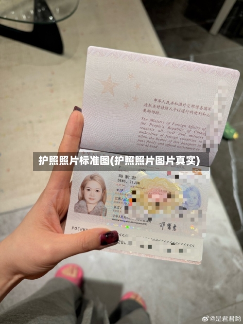 护照照片标准图(护照照片图片真实)