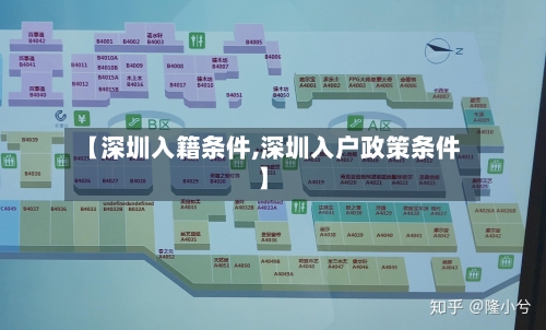 【深圳入籍条件,深圳入户政策条件】