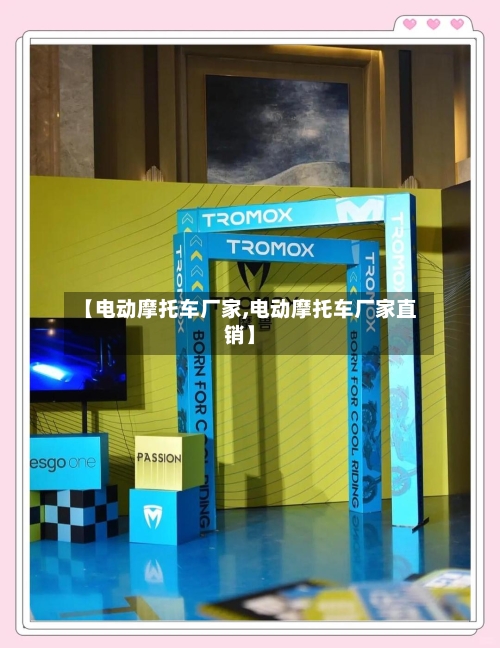 【电动摩托车厂家,电动摩托车厂家直销】