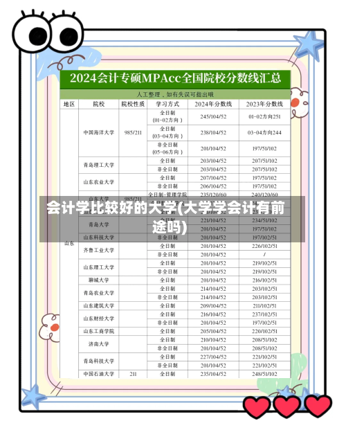 会计学比较好的大学(大学学会计有前途吗)