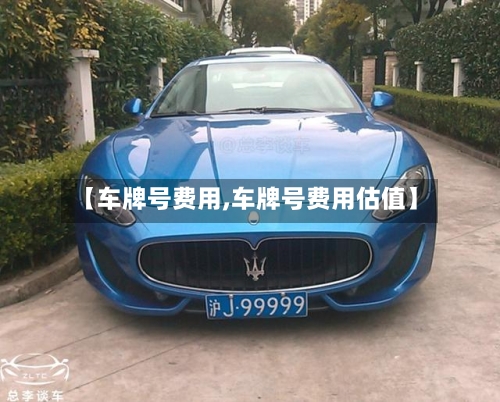 【车牌号费用,车牌号费用估值】-第3张图片