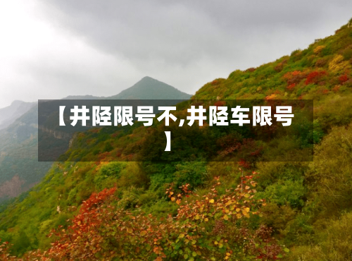 【井陉限号不,井陉车限号】-第2张图片