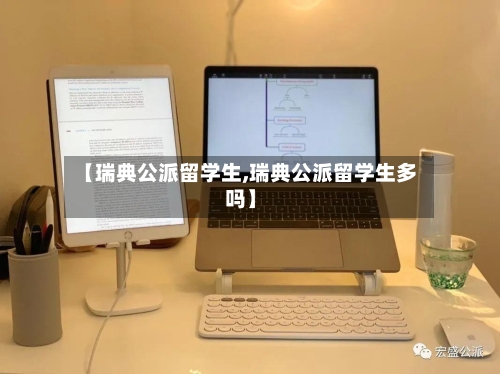【瑞典公派留学生,瑞典公派留学生多吗】-第3张图片